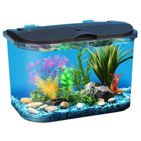 5 gallon fish tank is its space-saving design. . Five gallon fish tank